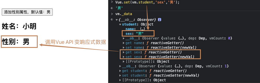 调用Vue API增加属性.png